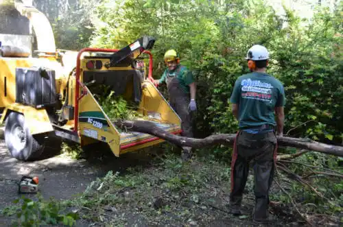 tree services Great Bend